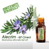 Alecrim - QT Cineol - Óleo Essencial