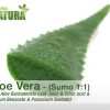 Aloe Vera - Sumo 1:1