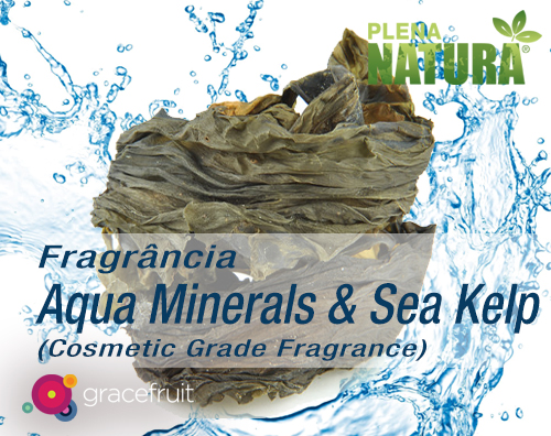 Aqua Minerals & Sea Kelp - Cosmetic Grade Fragrance Oil