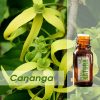 Cananga - Óleo Essencial