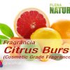 Citrus Burst - Cosmetic Grade Fragrance Oil