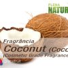 Coconut - Cosmetic Grade Fragrance Oil (Coco)