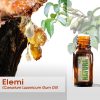 Elemi - Óleo Essencial
