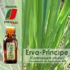 Erva-Príncipe -BIO- Óleo Essencial