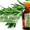 Extracto de Alecrim (Antioxidante)