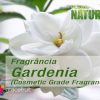 Gardenia - Cosmetic Grade Fragrance Oil