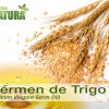 Óleo de Germen de Trigo