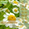 Hidrolato de Camomila Romana - Orgânico (Bio)