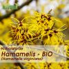 Hidrolato de Hamamelis (Bio)