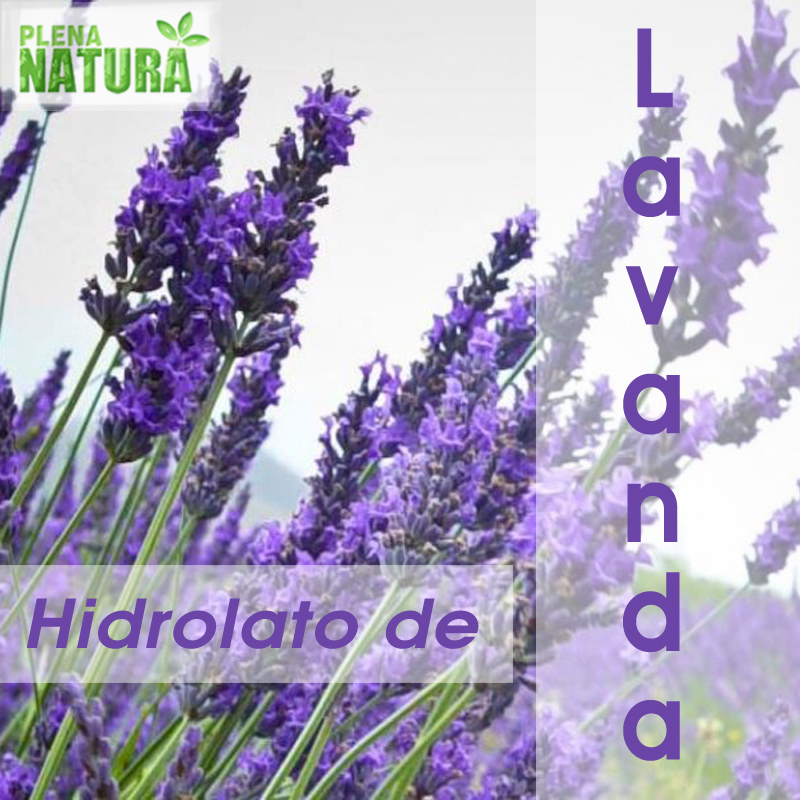 Hidrolato de Lavanda - Orgânico (Bio)