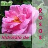 Hidrolato de Rosas - Orgânico (Bio)