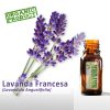 Lavanda Francesa (BIO)  - Óleo Essencial
