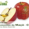 Óleo de Sementes de Maçã - CP