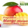 Mango - Cosmetic Grade Fragrance Oil (Manga)