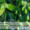 Óleo de Neem (HAC) - CP