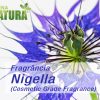 Nigella - Cosmetic Grade Fragrance Oil