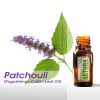 Patchouli - Óleo Essencial