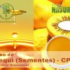 Óleo de Pequi (Sementes) - CP