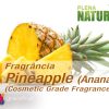 Pineapple - Cosmetic Grade Fragrance Oil (Ananás)