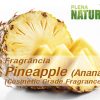 Pineapple - Cosmetic Grade Fragrance Oil