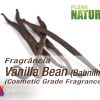Vanilla Bean - Cosmetic Grade Fragrance Oil (Baunilha)