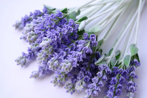 Alfazema / Lavanda - flores secas