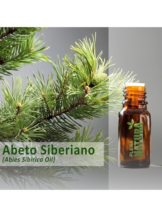Abeto Siberiano - Óleo Essencial